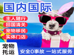 三亚空运公司国际宠物托运 【国